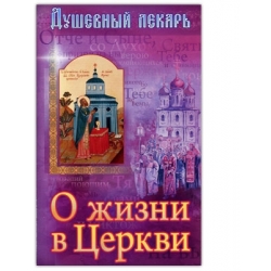 Душевный лекарь. О жизни в Церкви
